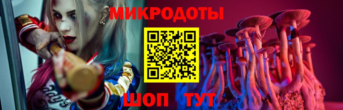 Псилоцибиновые грибы мухоморы Полевской