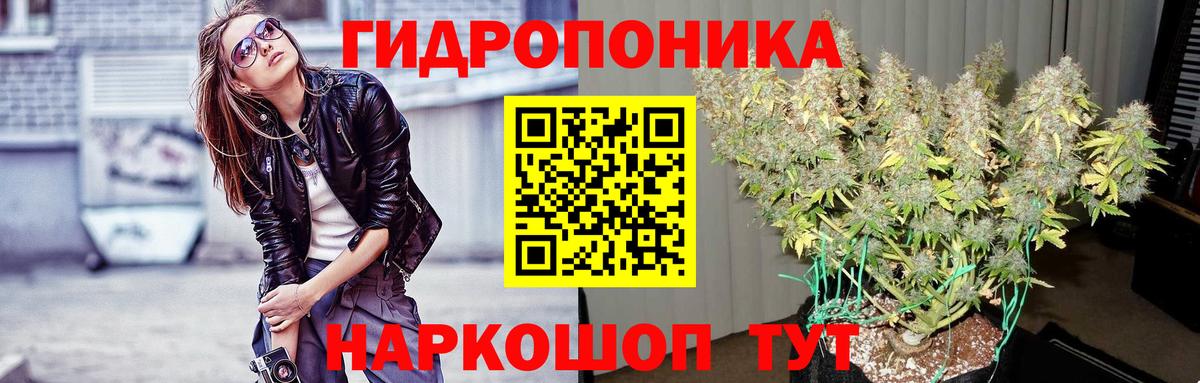 Каннабис Ganja  Каннабис ГИДРОПОН  Вход с VPN  Канабис индика  Полевской 